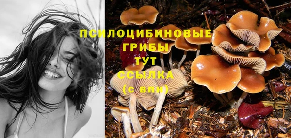гашик Абинск