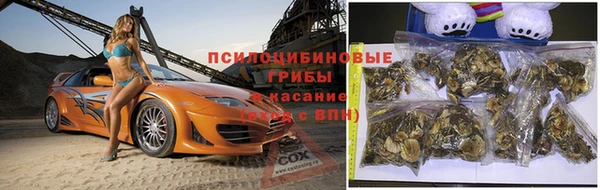 эйфоретик Алексин